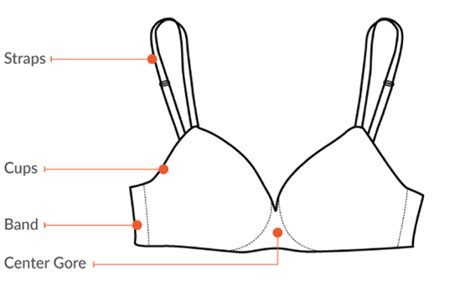 How To Find A Bra That Fit Bra Shopping 101 Ww Usa