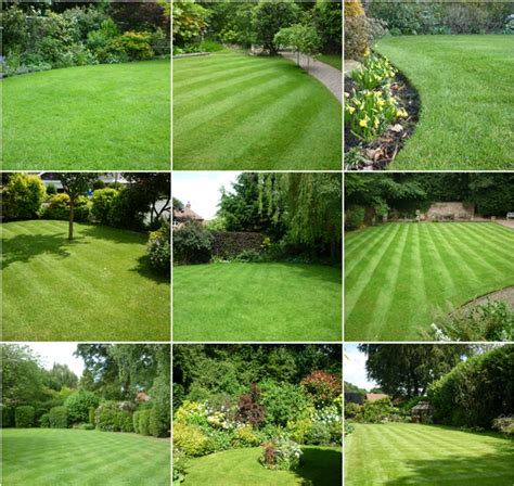 A Gallery Of Beautiful Lawns The Lawn Man