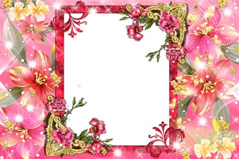 Make colorful flower themed frames for your pictures. flowers for flower lovers.: flowers photo frames designs.