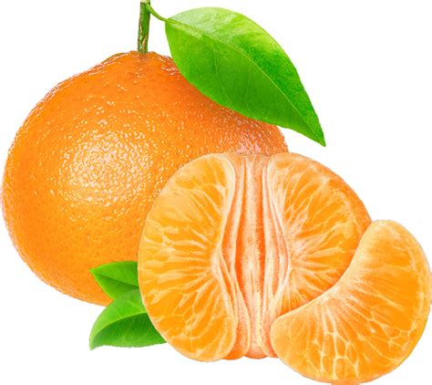 Clementine Png 5 Produce Gone Wild