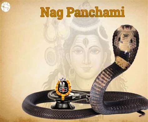 Nag Panchami Check Out Shubh Muhurat Significance Puja Vidhi Mantra And More About This