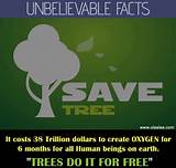 Save Trees Quotes Pictures