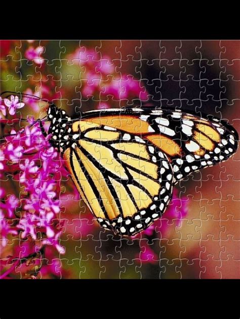 Butterfly Jigsaw Puzzles Puzzle Jigsaw