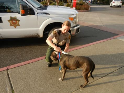 On the Job: What Do Animal Control Officers Really Do? | The Bark