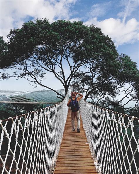 Grantnsaipan Taman Nasional Halimun Gunung Salak Endah