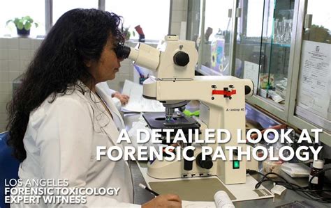 Forensic Pathology Los Angeles Forensic Toxicology Expert Witness