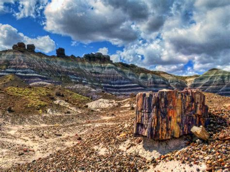 Insiders Guide To Petrified Forest National Park