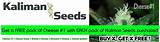 Photos of How To Get Marijuana Seeds For Free