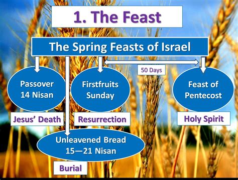 The Spring Aviv Feasts