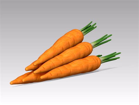 Instant download in max, c4d, obj, 3ds and many more formats. Carrot Vegetable 3d model Maya,Object files free download ...