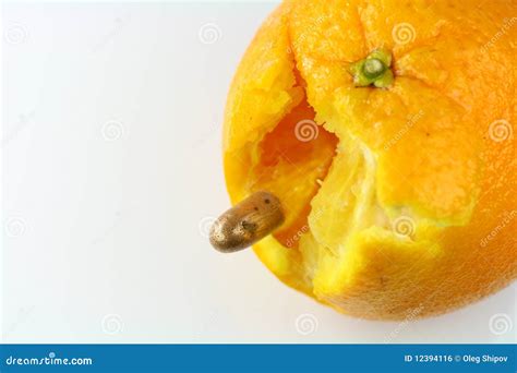 Orange And Bullet Stock Photo Image Of Flying Speed