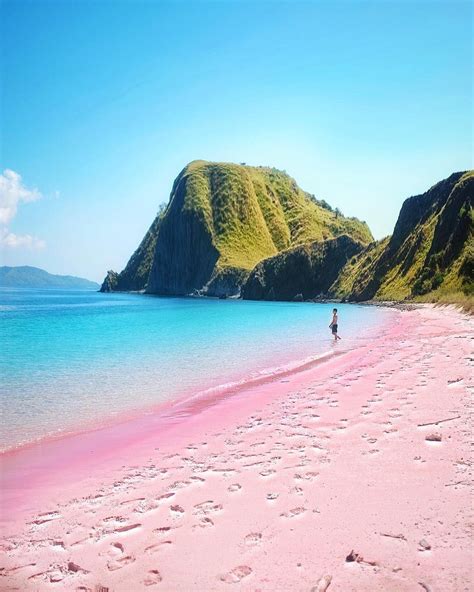 Indoneisa Komodo Island Worlds Most Beautiful Beautiful Beaches