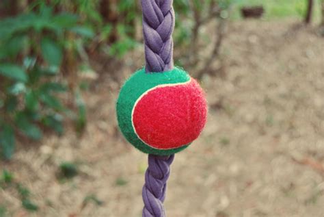 7 Cool Dog Toys To Make Yourself
