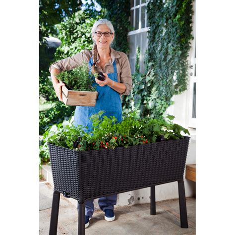 Keter Elevated Garden Bed Raised Bed And Container