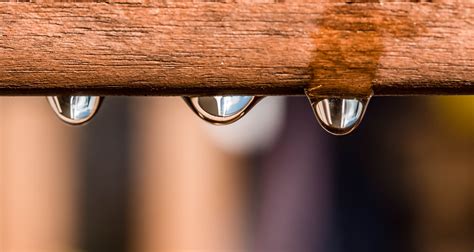 Free Images Board Wood Grain Raindrop Wet Clear