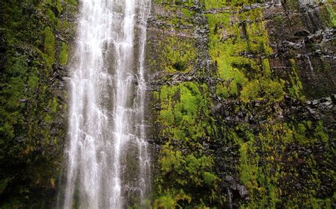 Wallpaper Landscape Forest Waterfall Nature Stream Rainforest