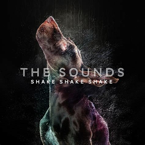 Shake Shake Shake Single By The Sounds Spotify