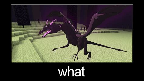 Minecraft Wait What Meme Part 171 Realistic Ender Dragon Youtube