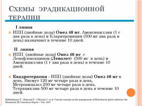 Диета при лечение антибиотиками Диета При Лечении Хеликобактер Антибиотиками — Похудение Диета Диета При Лечении Хеликобактер Антибиотиками — Похудение Диета Диета при лечение антибиотиками
