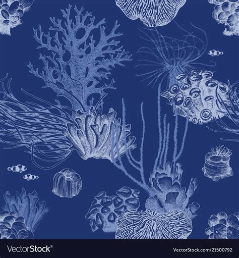 Seamless Pattern With Hand Drawn Coral Reef Vector Image