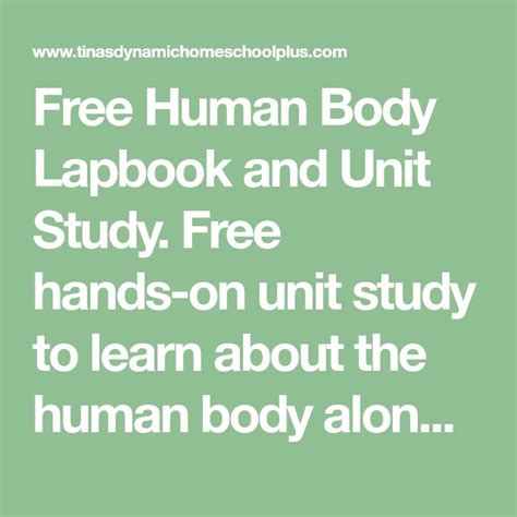 Beautiful Human Body Lapbook And Fun Unit Study Human Body Lapbook