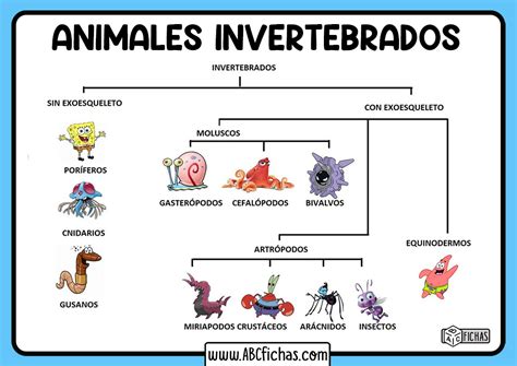Clasificacion Animales Invertebrados Para Niños Abc Fichas