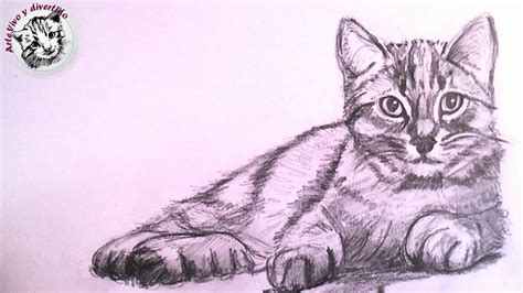 Dibujos De Gatos Realistas Pin En Dibujando