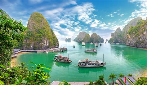When Is The Best Time To Visit Halong Bay Rainforest Cruises