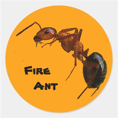 Fire Ant Classic Round Sticker Zazzle