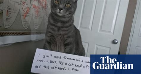 Confused Cats Against Feminism Feline Views On Gender Equality Cats The Guardian