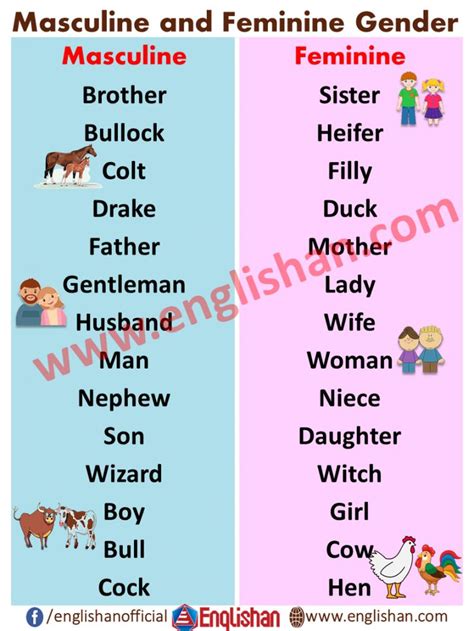 100 Examples Of Masculine And Feminine Gender List English Vocabulary