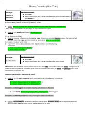 Right here, we have countless ebook mouse genetics one trait gizmo answer key and collections to check out. Mouse Genetics One Trait Lab.doc - Mouse Genetics(One Trait Get the Gizmo ready Activity A ...