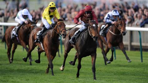 Newmarket Races Tips Racecard Declarations And Preview For The Racing
