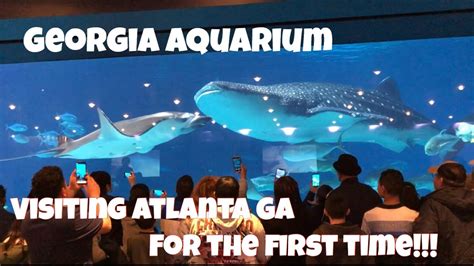 Visiting The Georgia Aquarium For The First Time Youtube