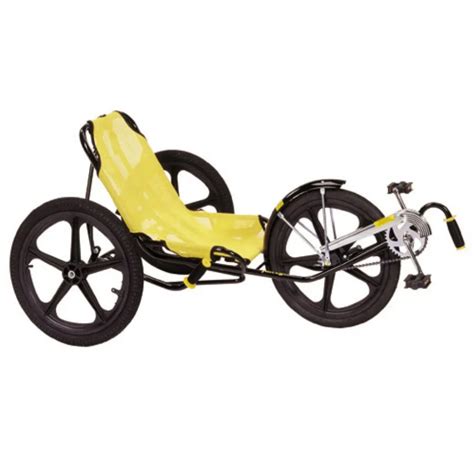 Buy Special Needs Tricycles Hand Cycles Recumbent Trikes
