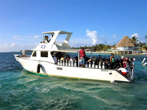 Blackbird Caye Resort Reviews And Specials Bluewater Dive Travel