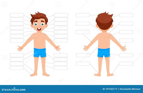 My Body Poster Cute Kid Girl Shows His Body Parts Medical Anatomy