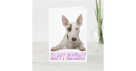 Happy Birthday Bull Terrier Puppy Dog Card