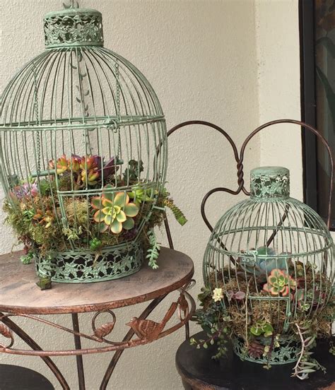 Diy Succulent Bird Cage Planter I Found These Bird Cages