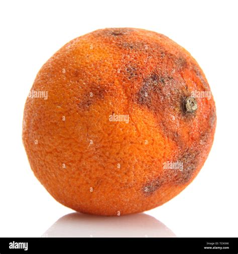 Rotten Orange Isolated On White Stock Photo Alamy