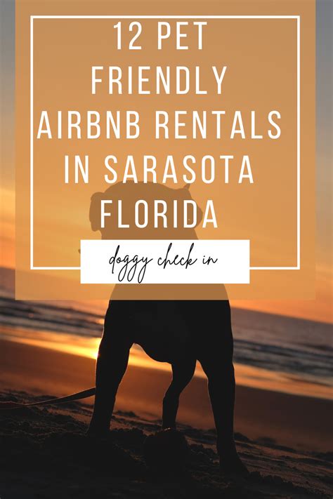 12 Pet Friendly Airbnb Rentals In Sarasota Florida Sarasota Florida