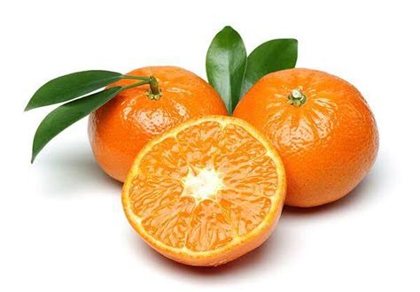 Mini Orange Malta Seedle Farms