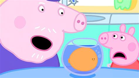 Peppa Pig Official Channel Peppa Pigs Goldie The Fish Becomes