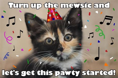 Turn Up The Mewsic Funny Cat Pun Card Cat Pun Birthday