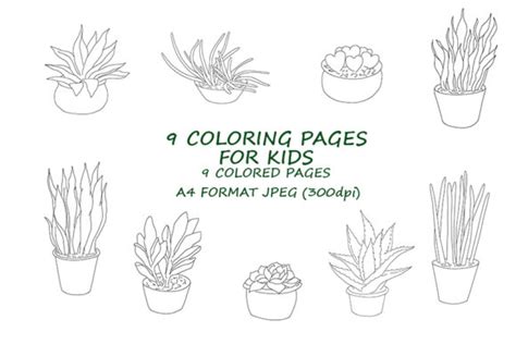 9 Succulent Plant Coloring Pages For Kid Graphic By Lisart · Creative