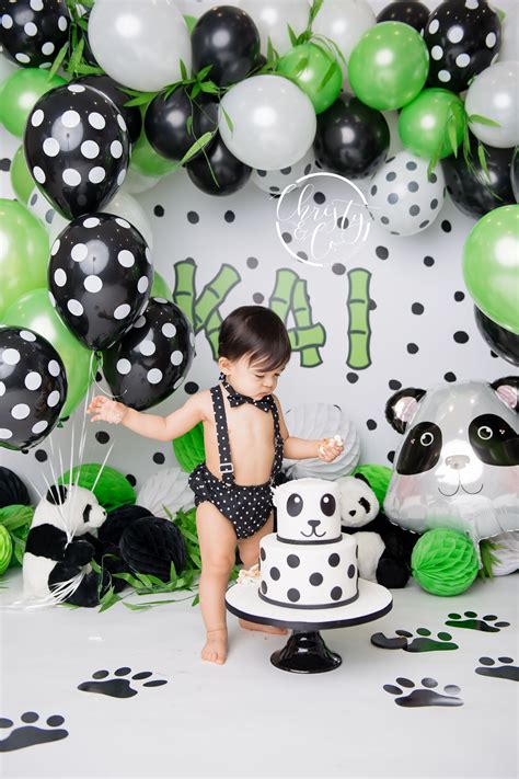 Panda Cake Smash First Birthday Session Christy And Co Photography