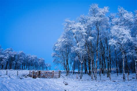 1416423 Free Wallpaper And Screensavers For Winter