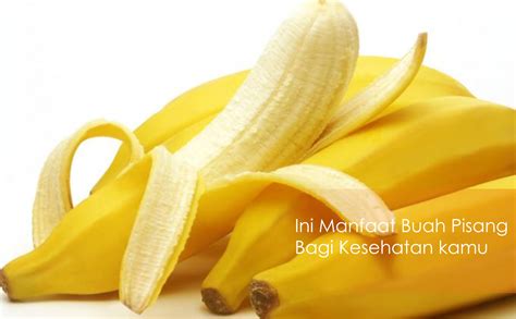 Manfaat Buah Khasiat Luar Biasa Buah Pisang Bagi Kesehatan Tubuh