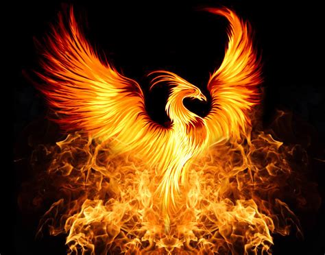 Pin By Louise Dawn Author On Fire In The Knight Phoenix Artwork