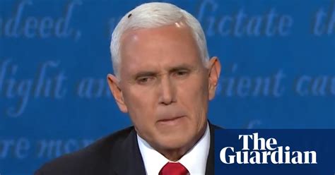 Fly That Landed On Mike Pence Head Becomes Vp Debate Star Video Us News The Guardian